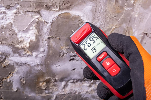 Best Affordable Mold Removal  in Vallejo, CA
