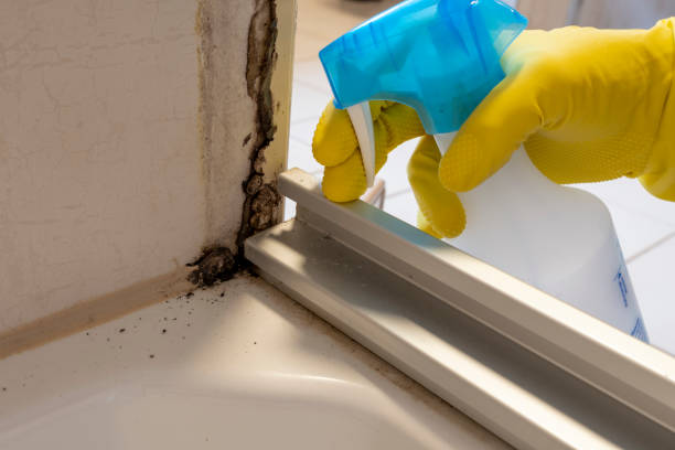 Best Crawl Space Mold Removal  in Vallejo, CA