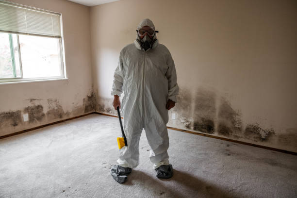 Best Commercial Mold Removal  in Vallejo, CA